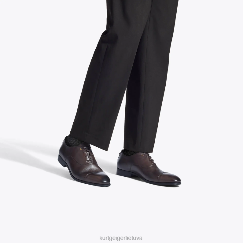 Kurt Geiger vyrų Londonas Harisas Oksfordas T2T28647 rudas | avalynė